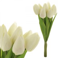 PUGET TULIPÁNOV, 7 krémových kvetov