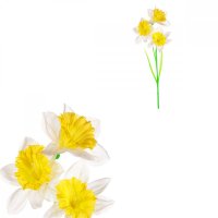 NARCISKY - 3 květy, umělá květina