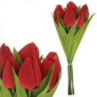 PUGET TULIPÁNŮ, 7 červených květů