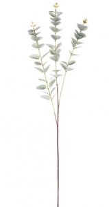 EUKALYPTUS VETVIČKA, umelý kvet
